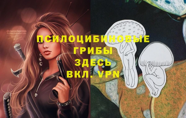 соль курить ск Беломорск