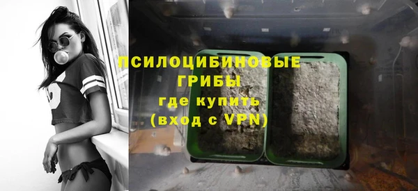 apvp Надым