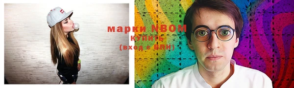 apvp Надым