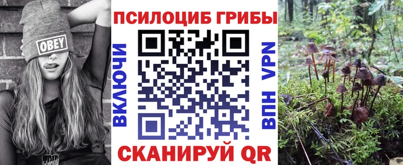 даркнет сайт  Новая Ляля  Псилоцибиновые грибы мухоморы 